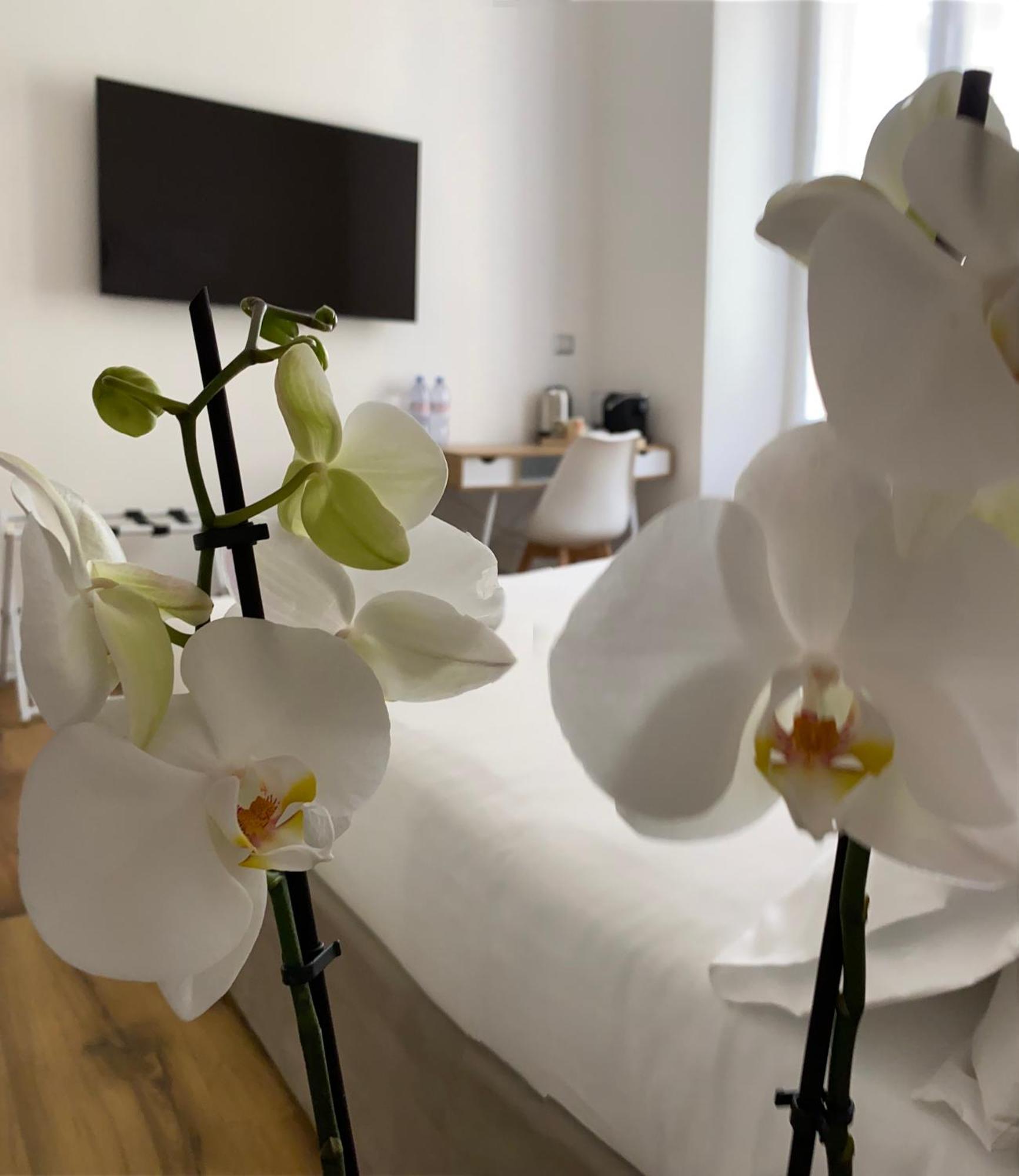 Belltower Elegans Hotell Rom Exteriör bild